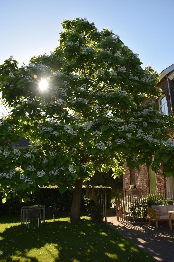 Mille Fleurs - Apartments Voeren Exterior photo